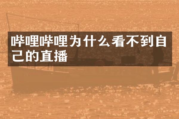 哔哩哔哩为什么看不到自己的直播