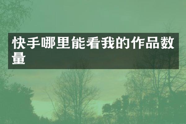 快手哪里能看我的作品数量