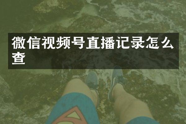 微信视频号直播记录怎么查