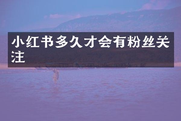 小红书多久才会有粉丝关注