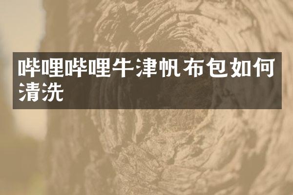 哔哩哔哩牛津帆布包如何清洗