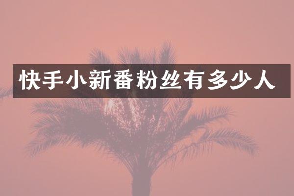 快手小新番粉丝有多少人