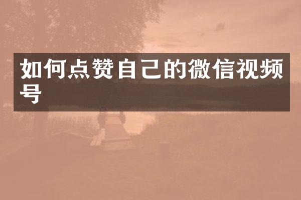 如何点赞自己的微信视频号