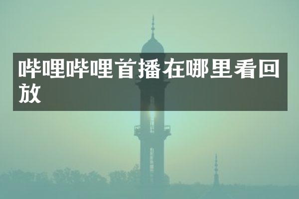 哔哩哔哩首播在哪里看回放