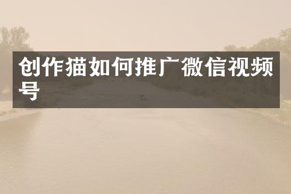 创作猫如何推广微信视频号