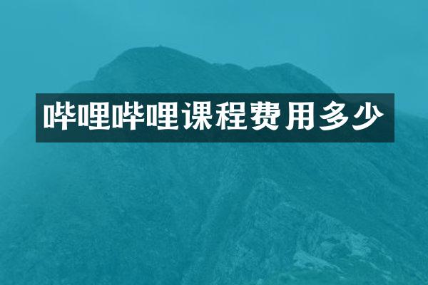 哔哩哔哩课程费用多少