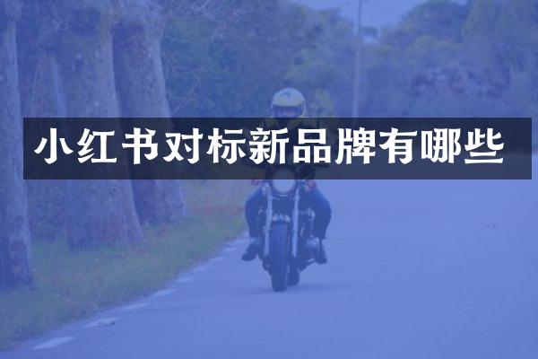 小红书对标新品牌有哪些