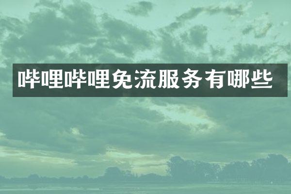 哔哩哔哩免流服务有哪些