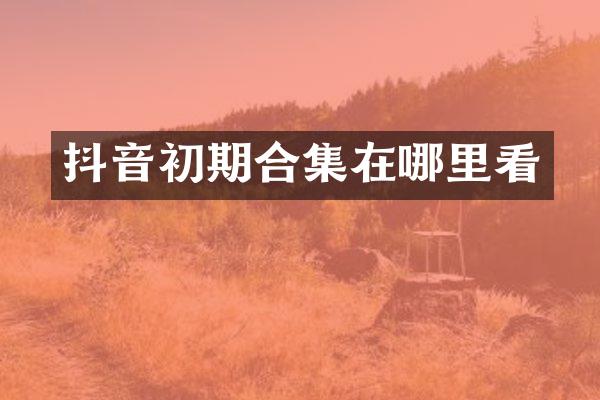 抖音初期合集在哪里看