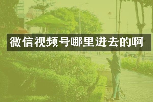 微信视频号哪里进去的啊