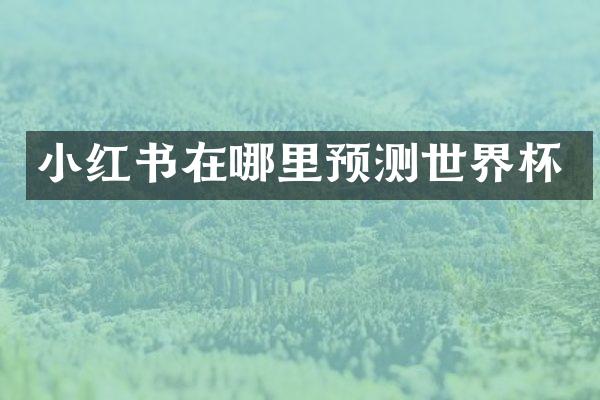 小红书在哪里预测世界杯