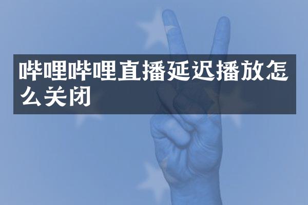 哔哩哔哩直播延迟播放怎么关闭