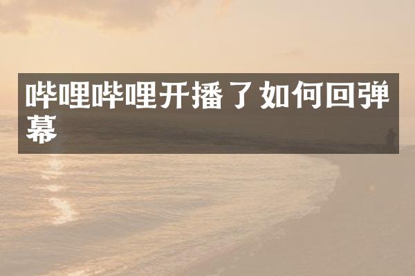 哔哩哔哩开播了如何回弹幕