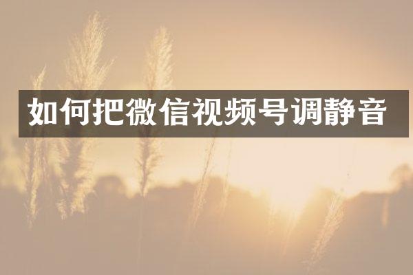 如何把微信视频号调静音
