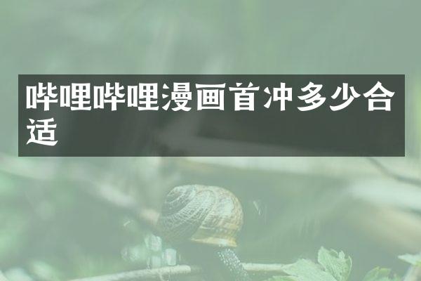 哔哩哔哩漫画首冲多少合适