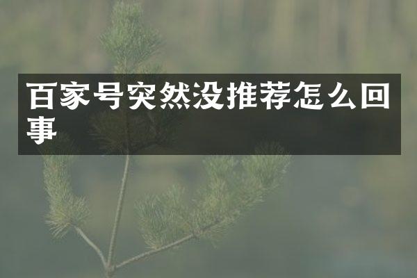 百家号突然没推荐怎么回事