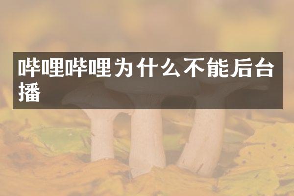 哔哩哔哩为什么不能后台播