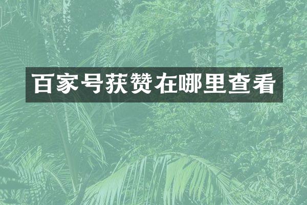 百家号获赞在哪里查看