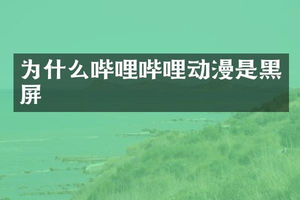为什么哔哩哔哩动漫是黑屏
