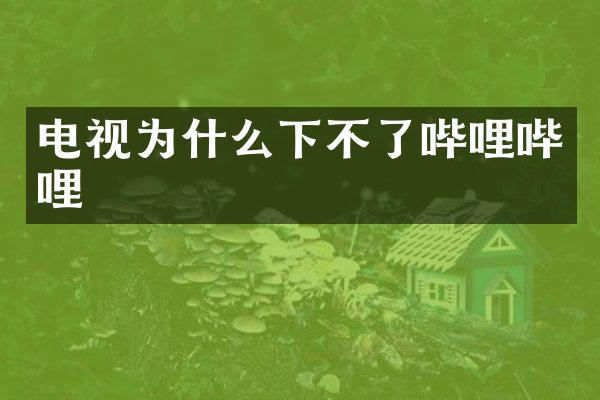 电视为什么下不了哔哩哔哩