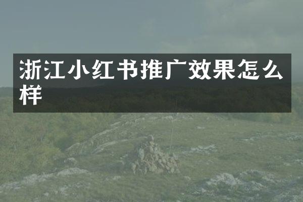 浙江小红书推广效果怎么样