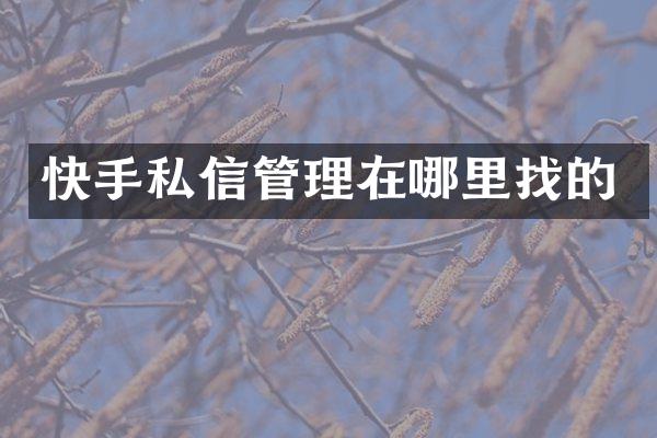 快手私信管理在哪里找的