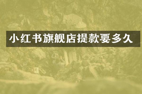 小红书旗舰店提款要多久