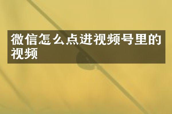 微信怎么点进视频号里的视频