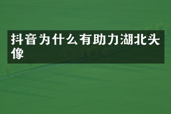 抖音为什么有助力湖北头像