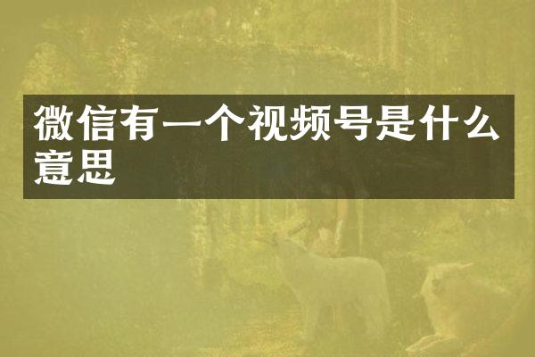 微信有一个视频号是什么意思