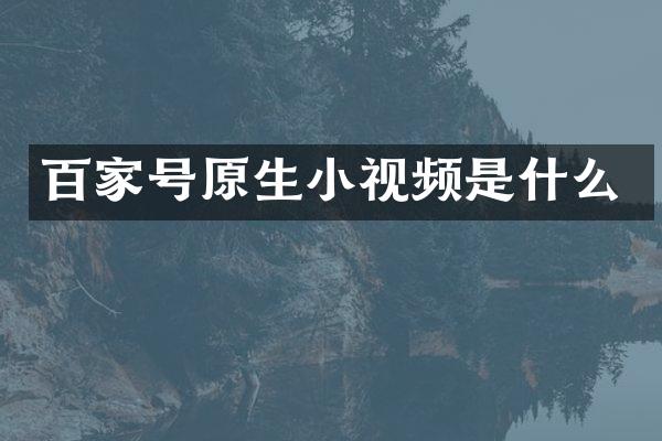 百家号原生小视频是什么
