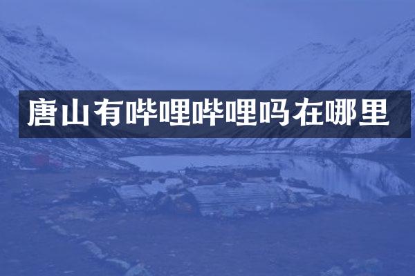 唐山有哔哩哔哩吗在哪里