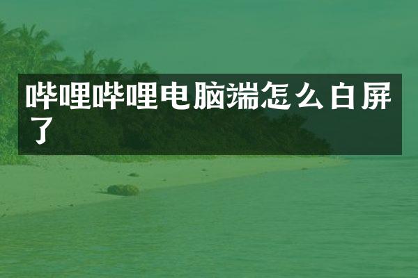 哔哩哔哩电脑端怎么白屏了