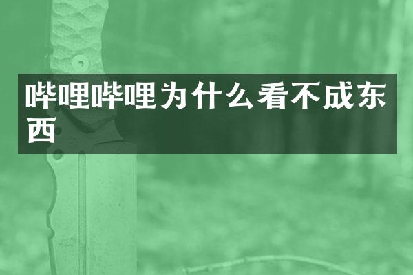 哔哩哔哩为什么看不成东西