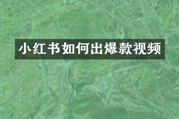 小红书如何出爆款视频