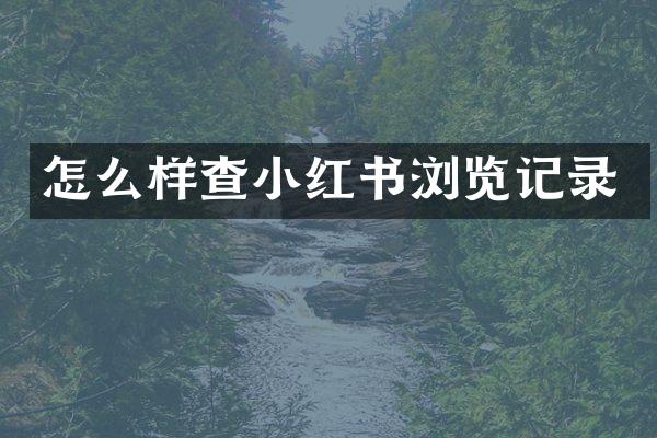 怎么样查小红书浏览记录