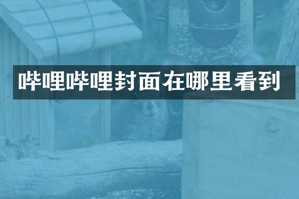 哔哩哔哩封面在哪里看到