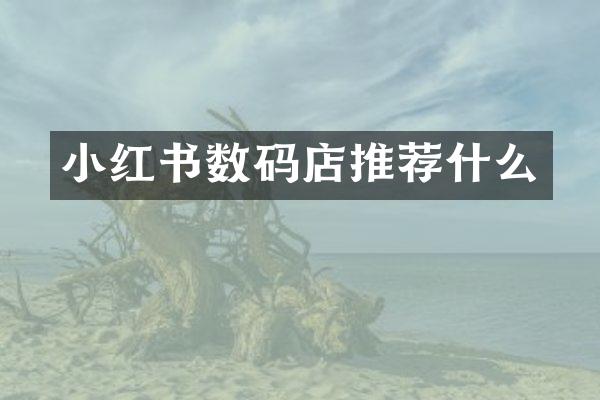小红书数码店推荐什么