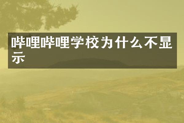 哔哩哔哩学校为什么不显示