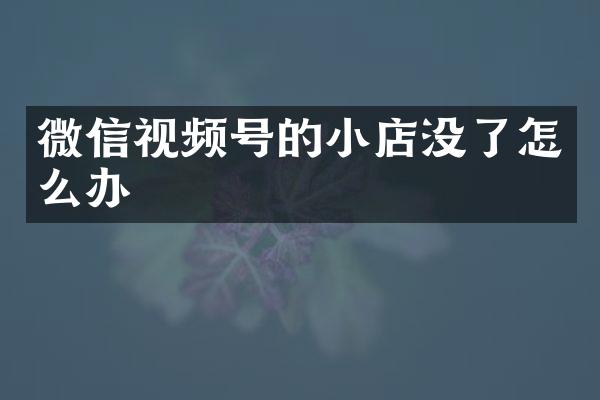 微信视频号的小店没了怎么办