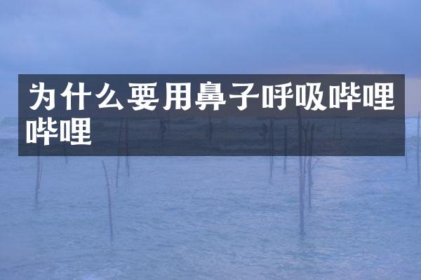 为什么要用鼻子呼吸哔哩哔哩