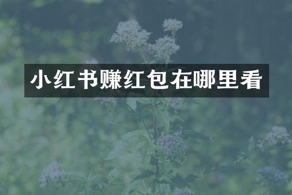 小红书赚红包在哪里看