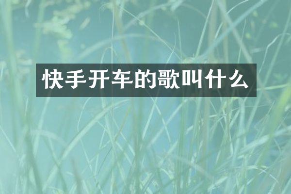 快手开车的歌叫什么