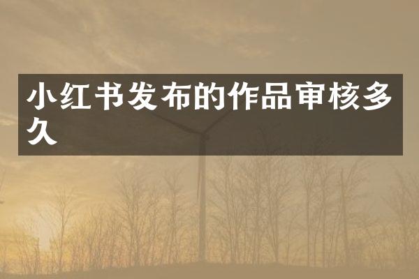 小红书发布的作品审核多久