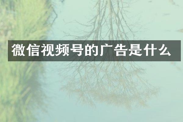 微信视频号的广告是什么