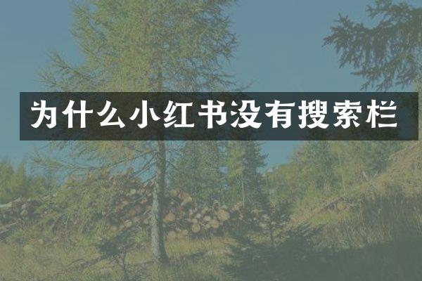 为什么小红书没有搜索栏