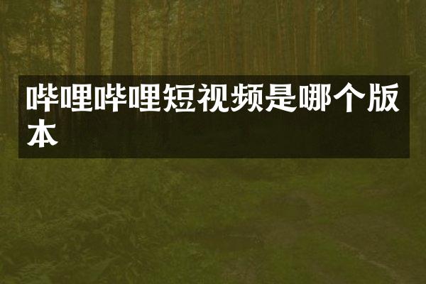 哔哩哔哩短视频是哪个版本