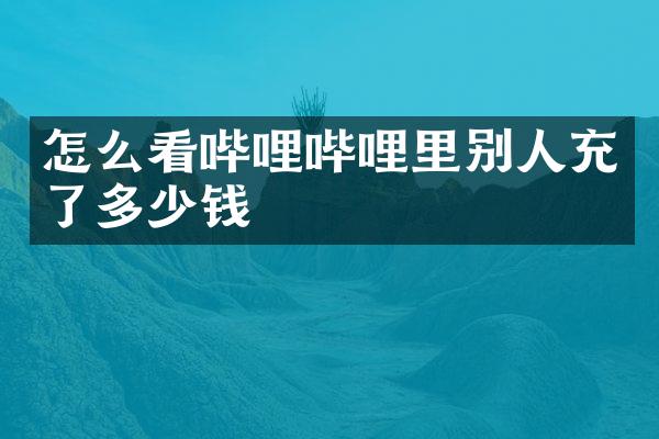 怎么看哔哩哔哩里别人充了多少钱