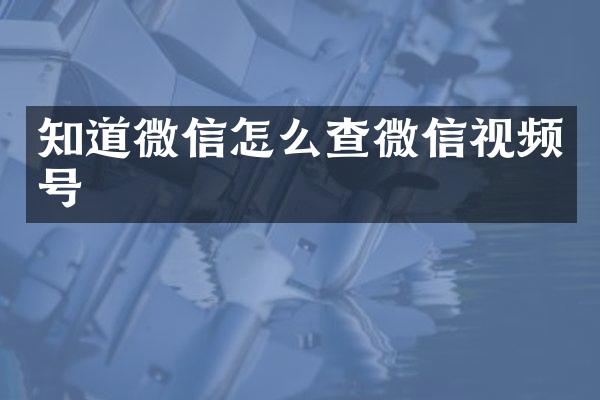 知道微信怎么查微信视频号