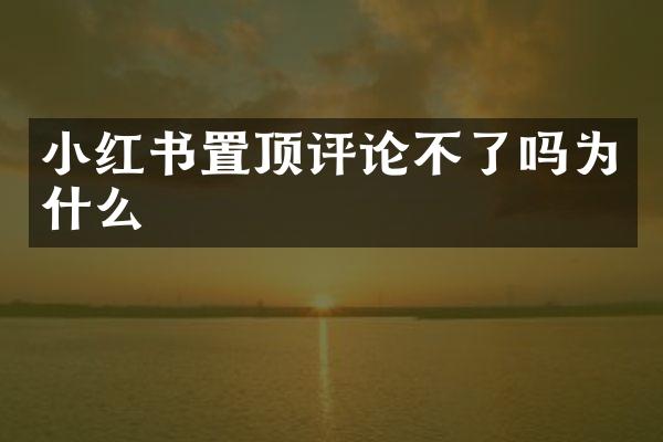 小红书置顶评论不了吗为什么
